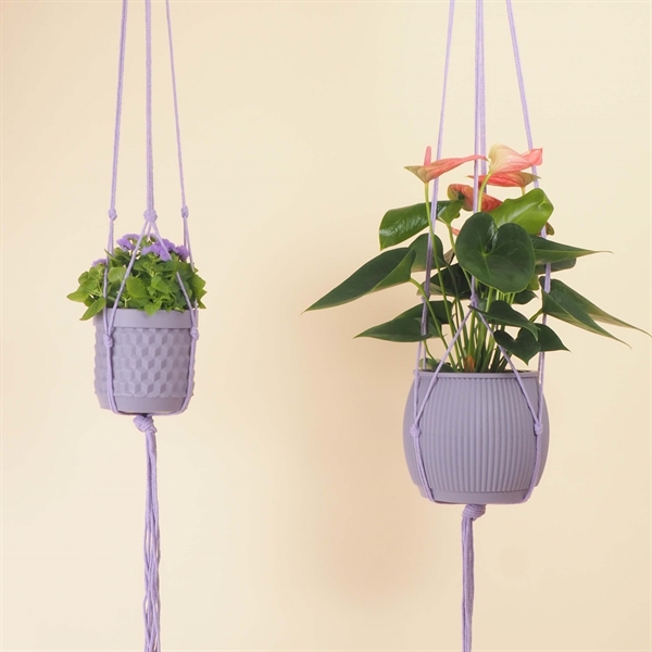 Plant hanger 120 cm. Lavender